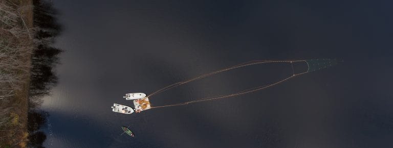 Yläkuva veneistä vedessä