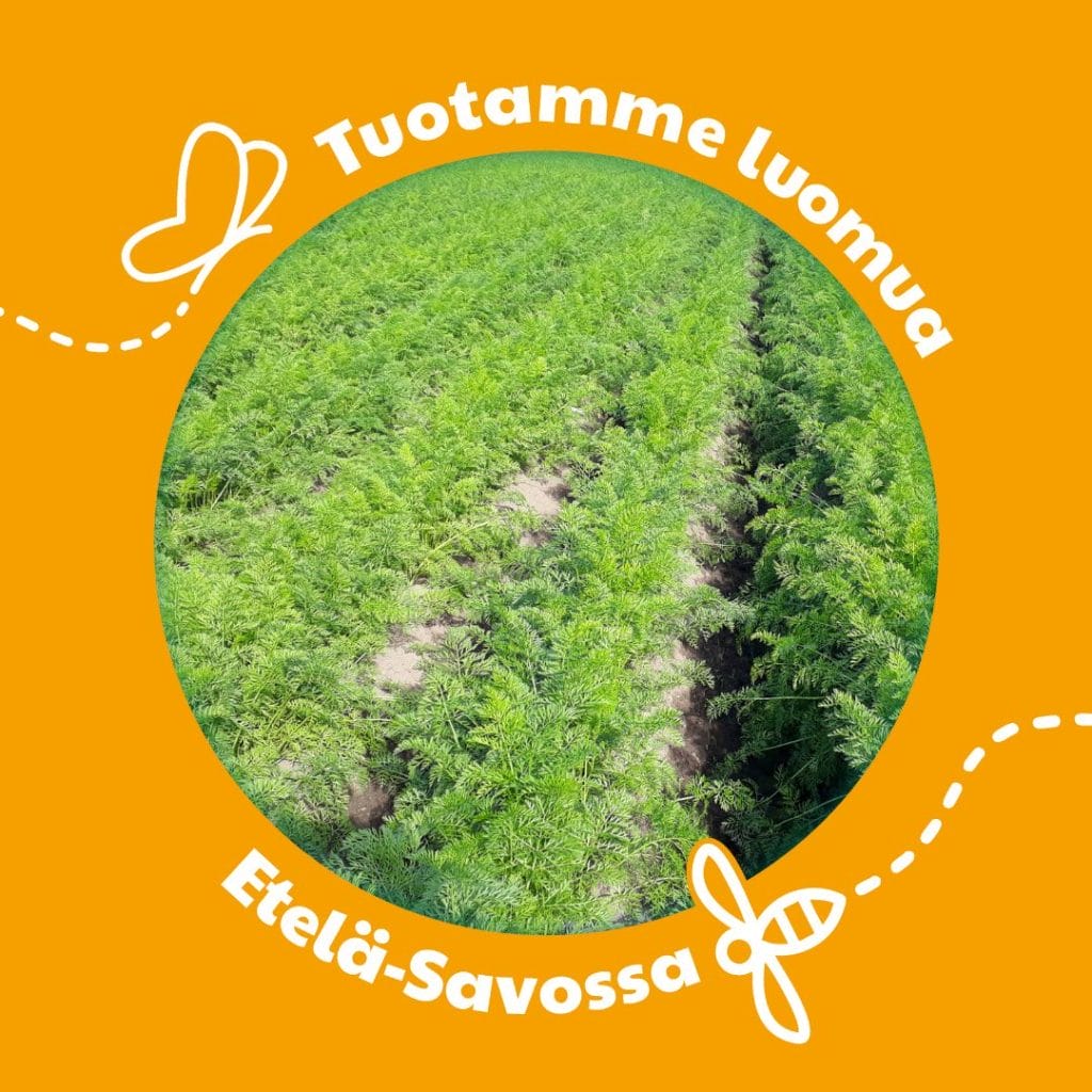 Keltainen kuva, jossa keskellä ympyrässä peltokuva. Ympyrän reunassa tekstit Tuotamme luomua Etelä-Savossa.