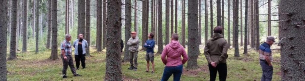 Kahdeksan ihmistä metsässä katselemassa puita.