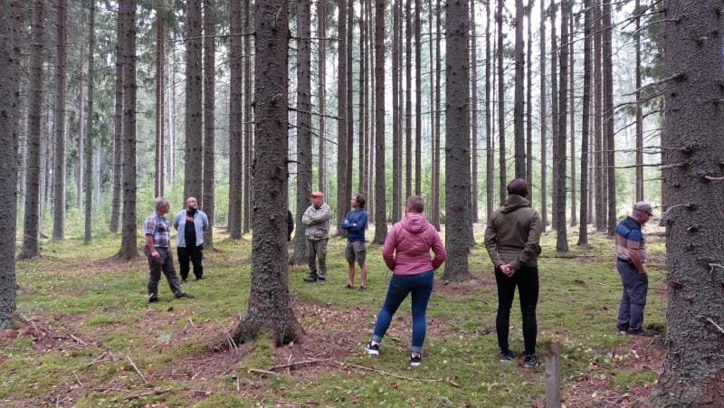 Kahdeksan ihmistä metsässä. Heistä kaikki katsovat korkeita puita.