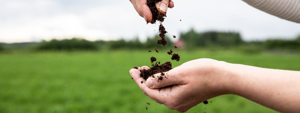 Kädet, joissa on multaa.