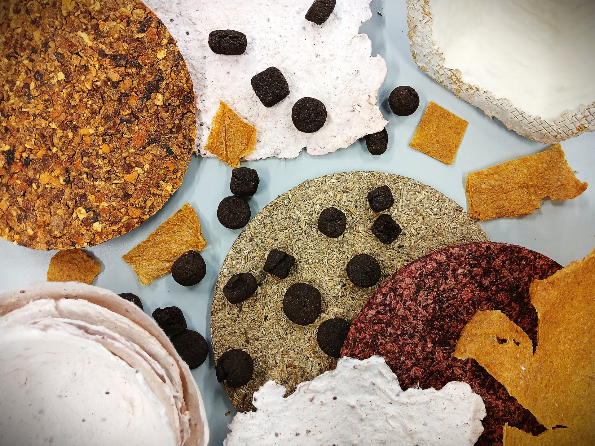 Erilaisia biomateriaaleista valmistettuja esineitä ja materiaalikokeiluja pöydän päällä asetelmassa.