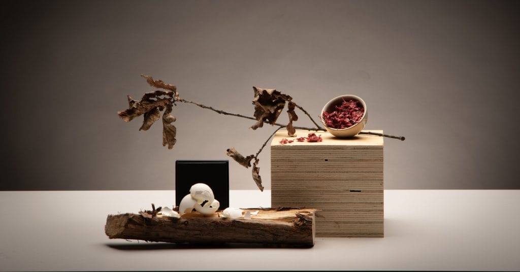 Asetelma, joka on koottu puusta, vanerista, kananmunankuorista, kuivatusta marjamäskistä ja kuivuneesta puun oksasta.