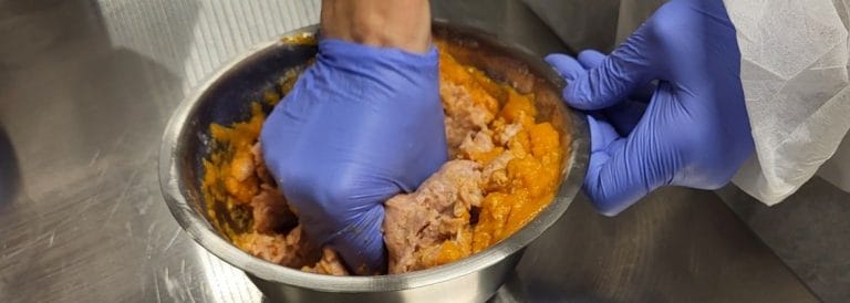 Käsi, jossa on suojahanska, kulhossa vaivaamassa ruokaa.