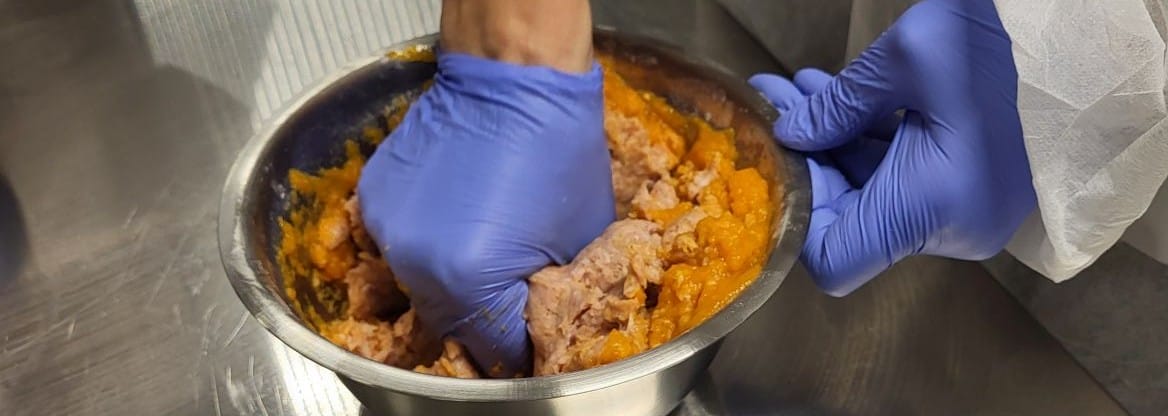 Käsi, jossa on suojahanska, kulhossa vaivaamassa ruokaa.