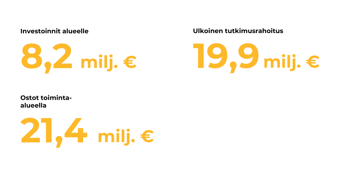 Aluetaloudelliset vaikutukset
