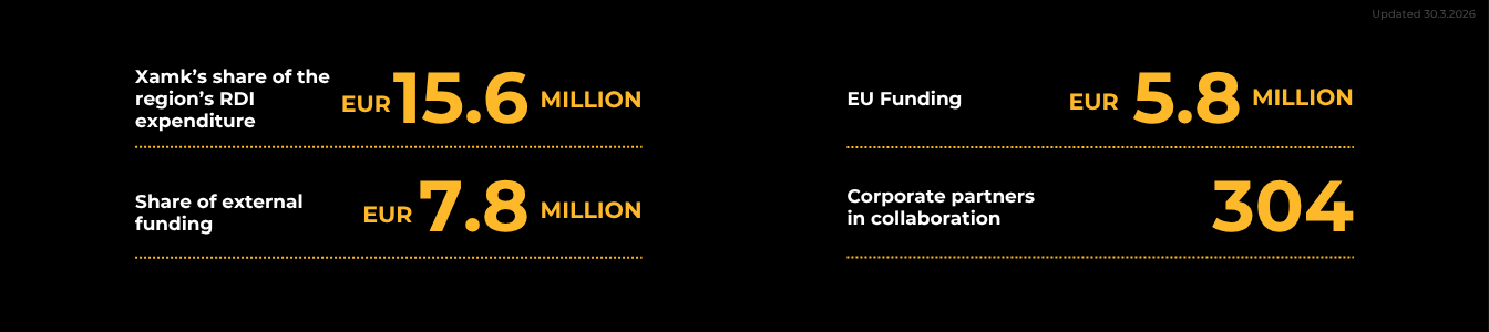 RDI activity in Mikkeli 2025