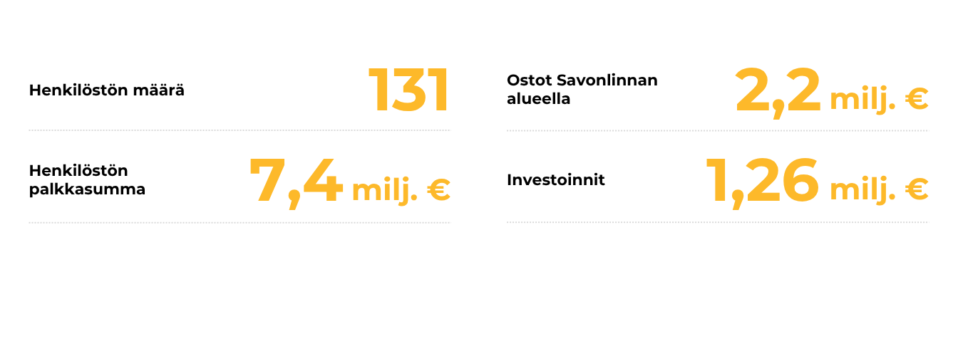Xamkin elinvoimavaikutukset Savonlinnassa 2025