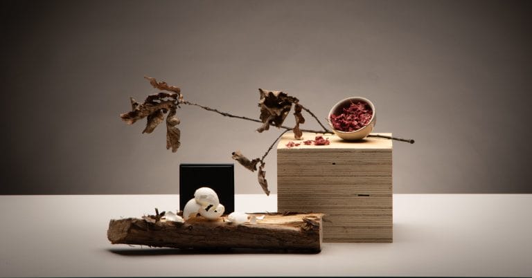 Sommitelma, jossa puisia esineitä, puun oksa, kananmunankuoria ja marjamäskiä keraamisessa kulhossa.