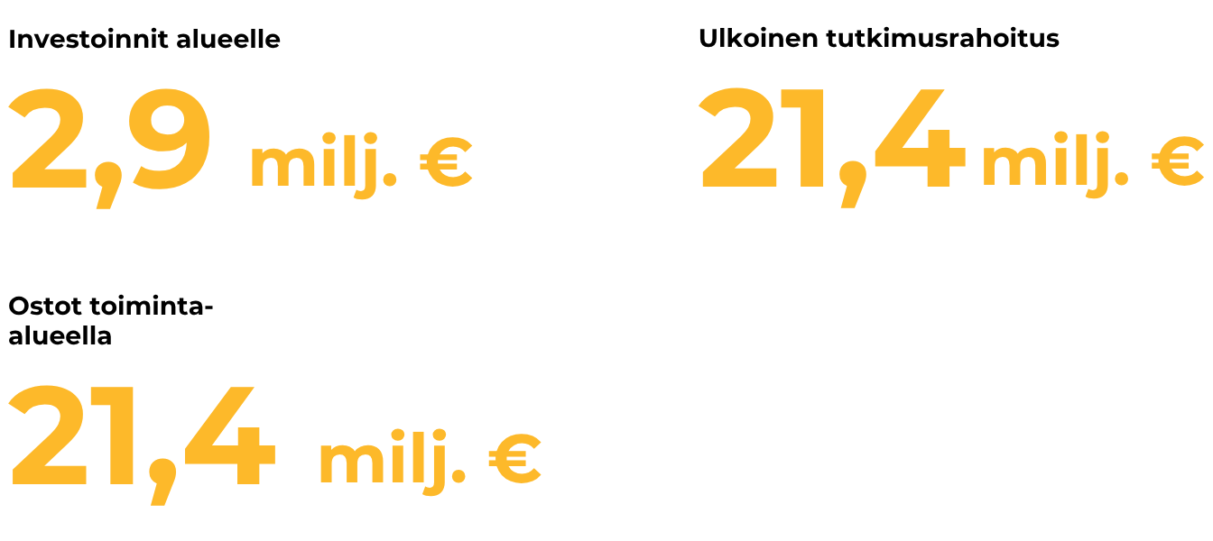 Aluetaloudelliset vaikutukset