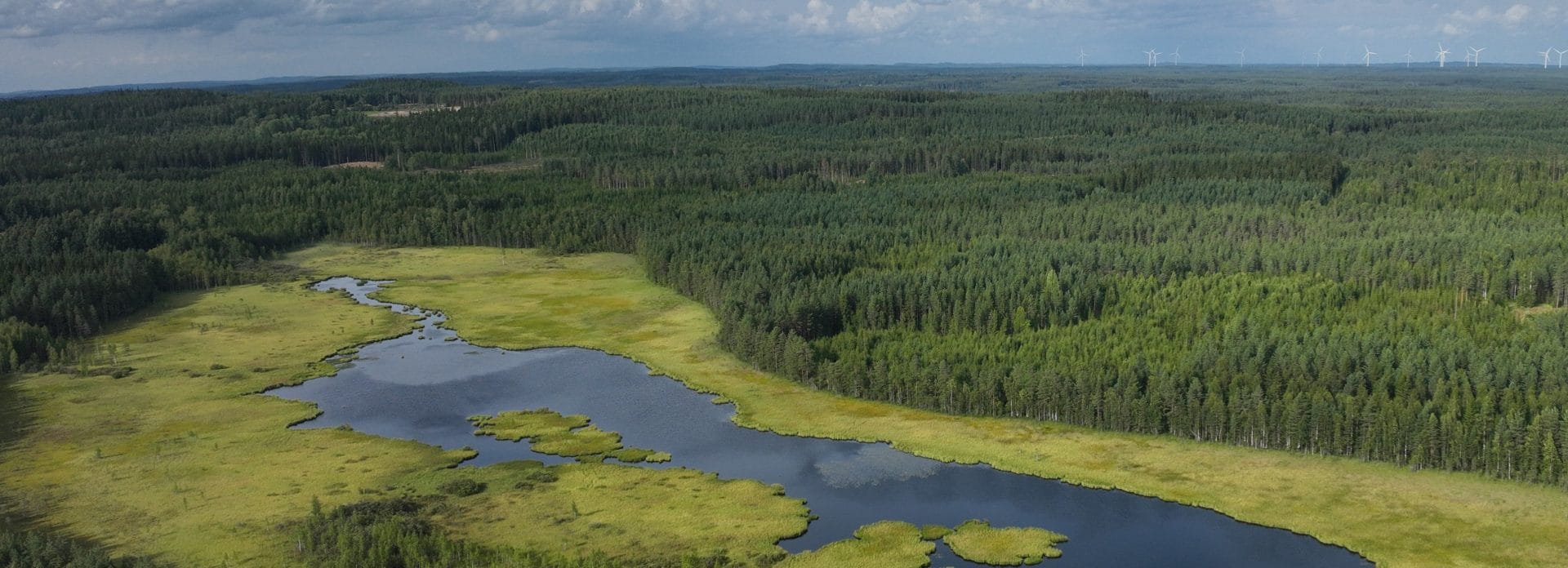 Noin 100 metrin korkeudesta otetun kuvan alaosassa on avosuo ja takana metsää.