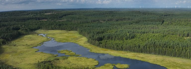 Noin 100 metrin korkeudesta otetun kuvan alaosassa on avosuo ja takana metsää.