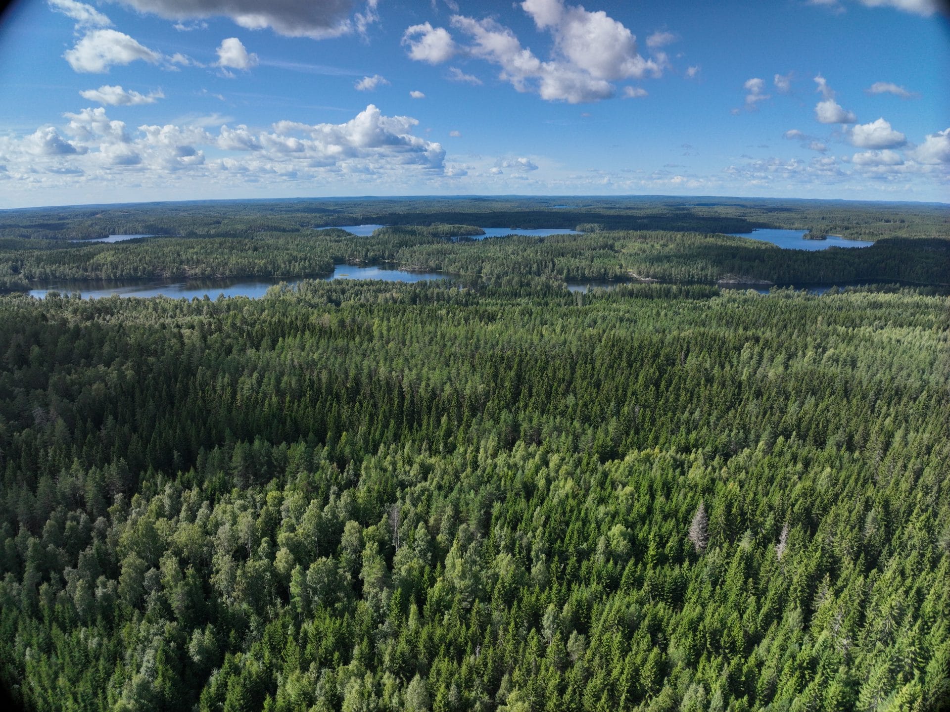 Ilmakuva opetusmetsä Hippalasta