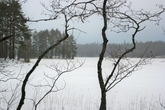Kaikki kuvat Kukkaroniemen luontopolulta Pieksämäeltä. 