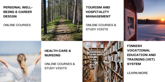 Summary of the themes of the courses and study visits (wellbeing, tourism, healthcare, VET system)